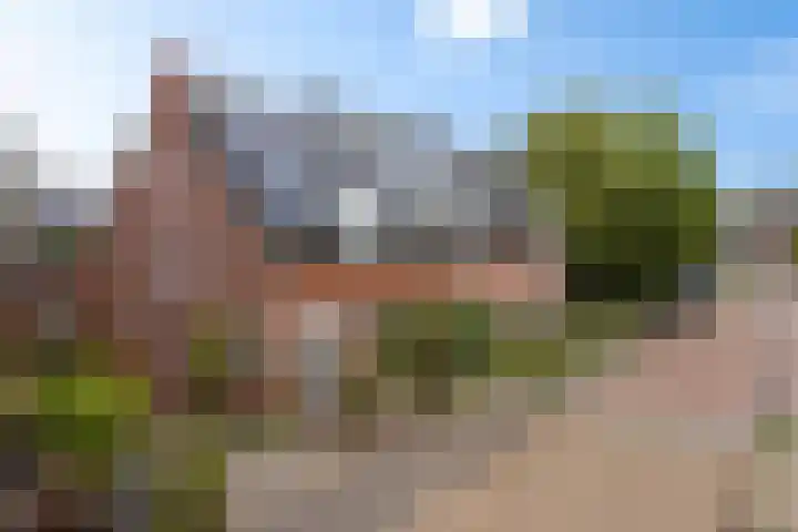 Tulpenstraat 9 Assen thumbnail 38