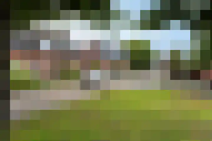 Tulpenstraat 9 Assen thumbnail 39