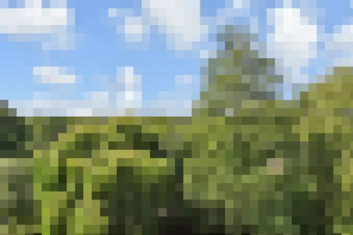 Tulpentuin 131 Voorburg thumbnail 14
