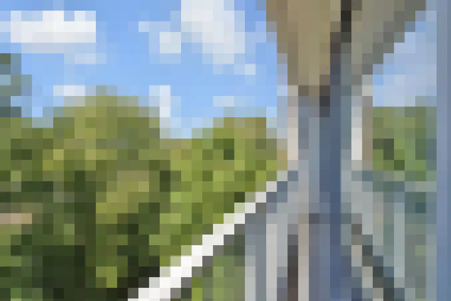 Tulpentuin 131 Voorburg thumbnail 18