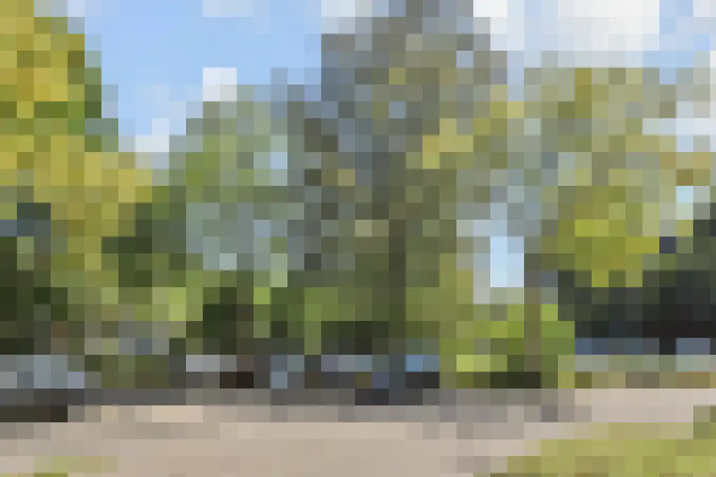 Tulpentuin 131 Voorburg thumbnail 26