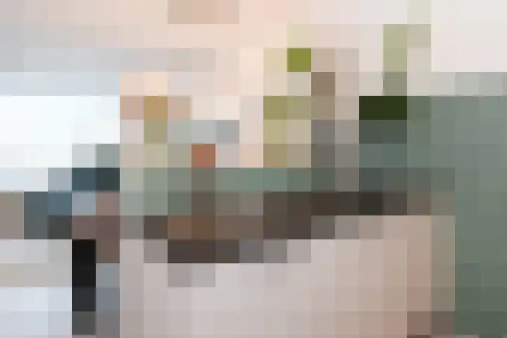 Tulpentuin 161 Voorburg thumbnail 15