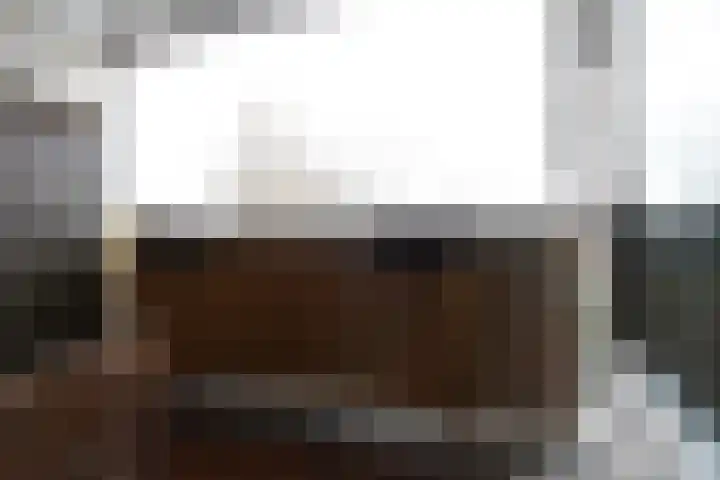 Tulpentuin 161 Voorburg thumbnail 32