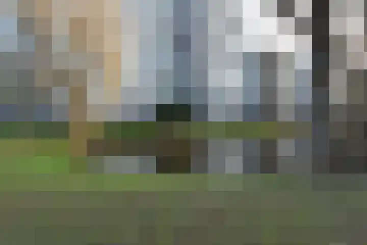 Tulpentuin 161 Voorburg thumbnail 35