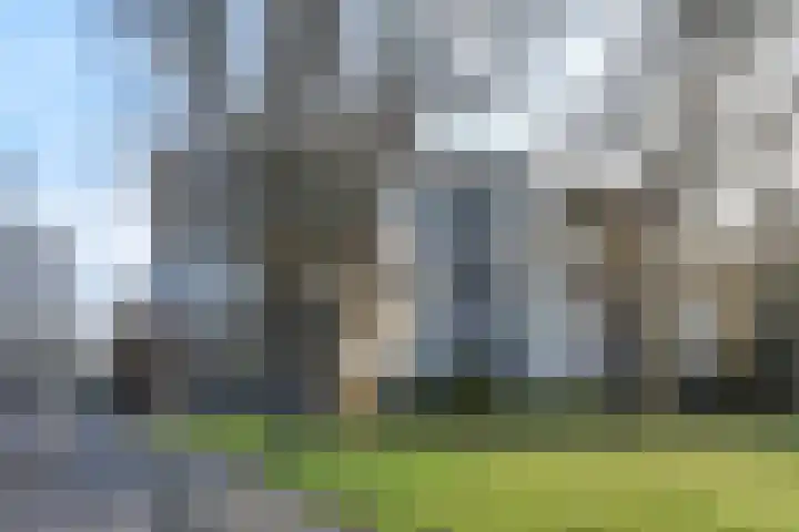 Tulpentuin 161 Voorburg thumbnail 36