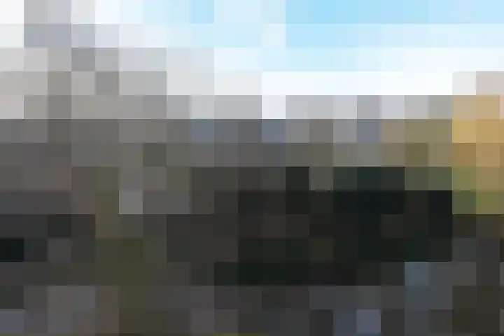 Tulpentuin 161 Voorburg thumbnail 41