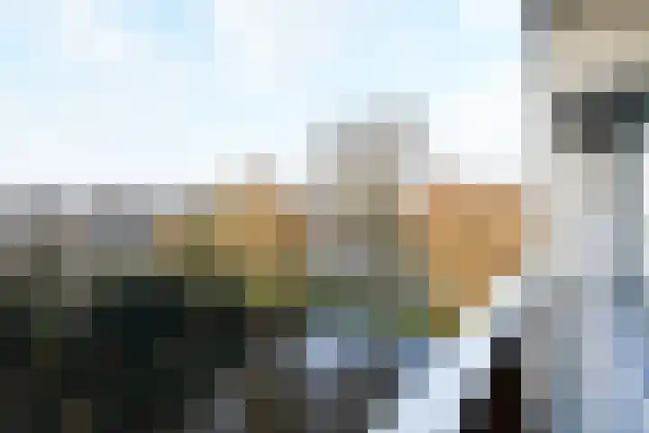 Tulpentuin 161 Voorburg thumbnail 42