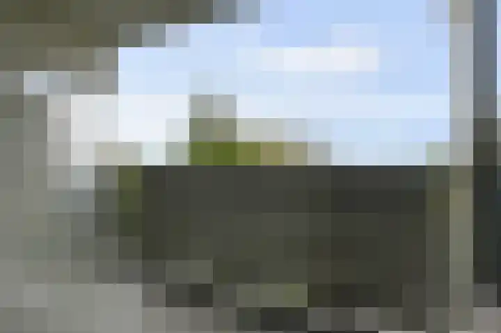 Tulpentuin 167 Voorburg thumbnail 18
