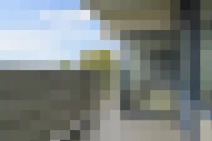 Tulpentuin 167 Voorburg thumbnail 19