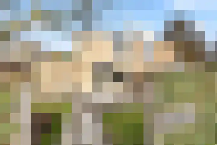 Tulpentuin 311 Voorburg