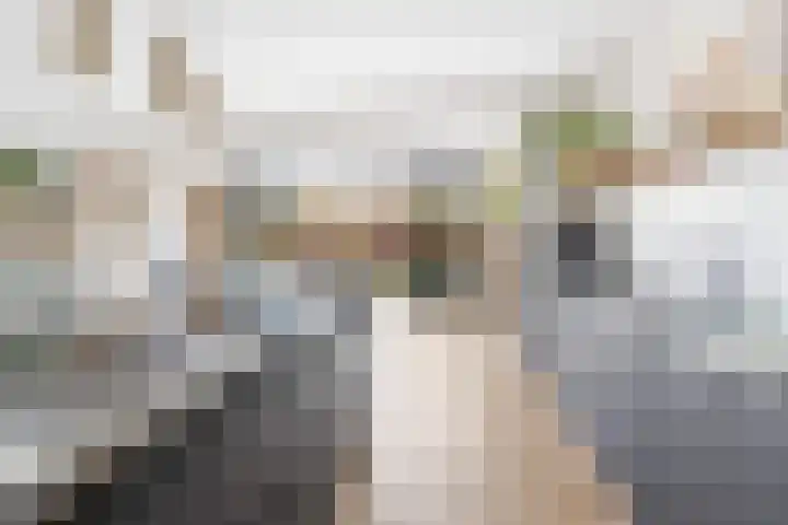 Tulpentuin 311 Voorburg thumbnail 11