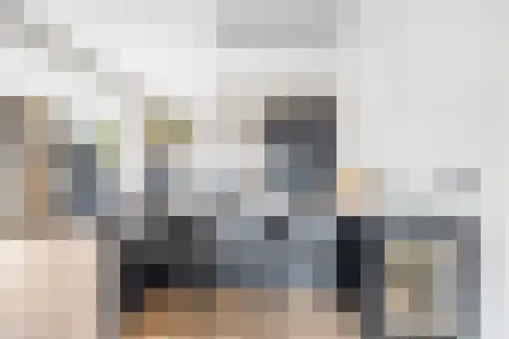 Tulpentuin 311 Voorburg thumbnail 12