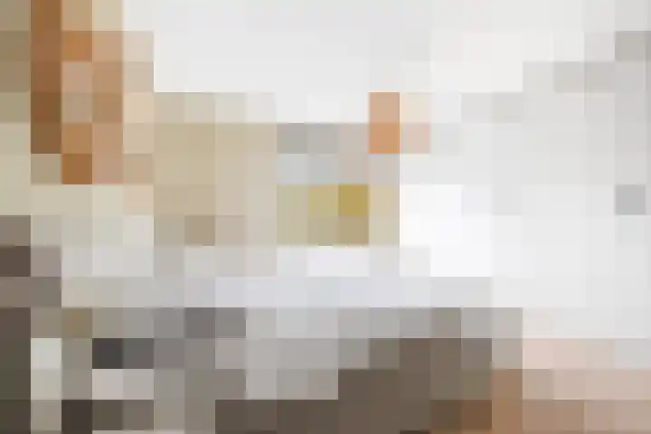 Tulpentuin 311 Voorburg thumbnail 20