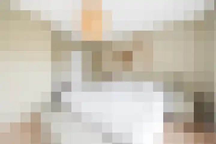 Tulpentuin 311 Voorburg thumbnail 21