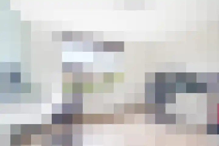 Tulpentuin 311 Voorburg thumbnail 23