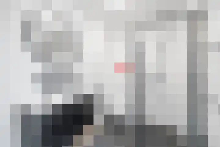 Tulpentuin 311 Voorburg thumbnail 25