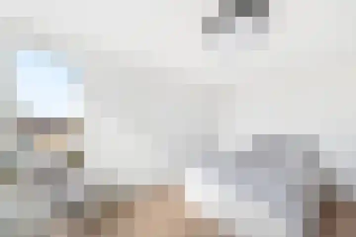 Tulpentuin 311 Voorburg thumbnail 28