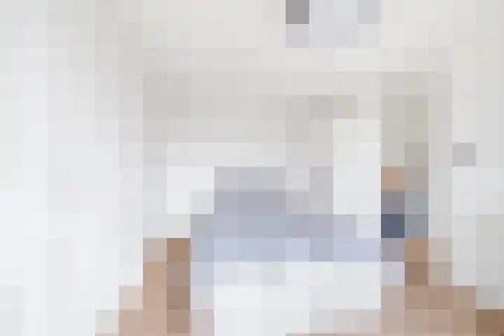 Tulpentuin 311 Voorburg thumbnail 29