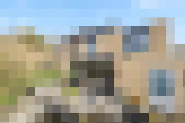 Tulpentuin 311 Voorburg thumbnail 31