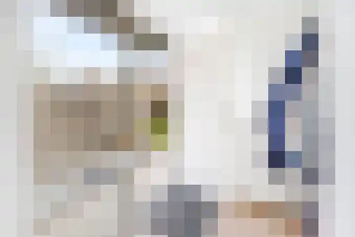 Tulpentuin 311 Voorburg thumbnail 33