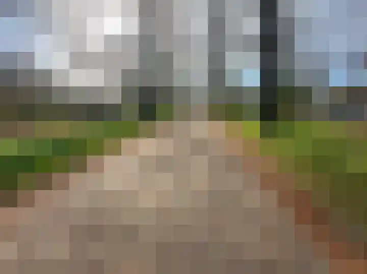 Tulpentuin 311 Voorburg thumbnail 36