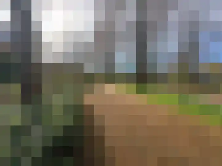 Tulpentuin 311 Voorburg thumbnail 37