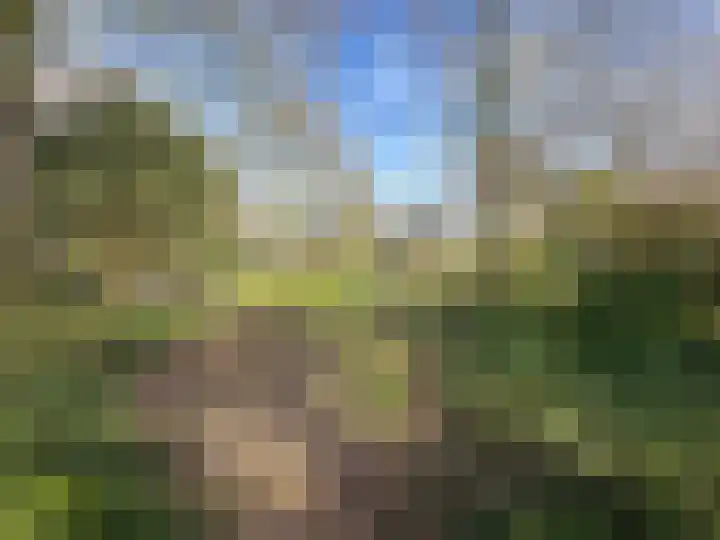 Tulpentuin 311 Voorburg thumbnail 38