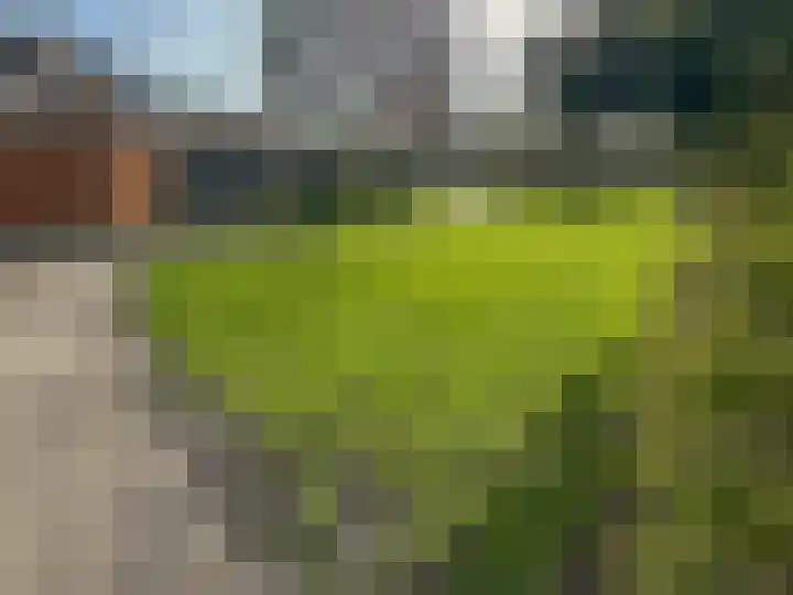 Tulpentuin 311 Voorburg thumbnail 39