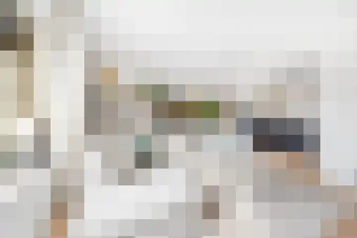 Tulpentuin 311 Voorburg thumbnail 4