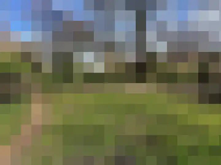 Tulpentuin 311 Voorburg thumbnail 40