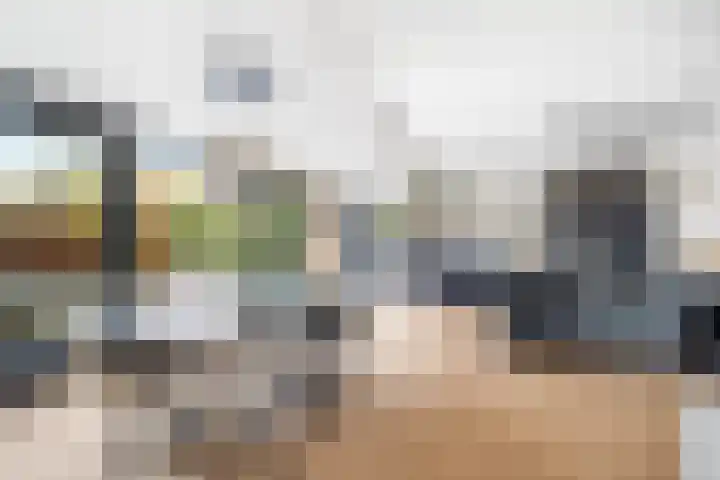 Tulpentuin 311 Voorburg thumbnail 9