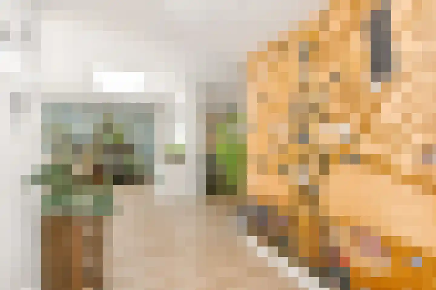 Tulpentuin 315 Voorburg thumbnail 12