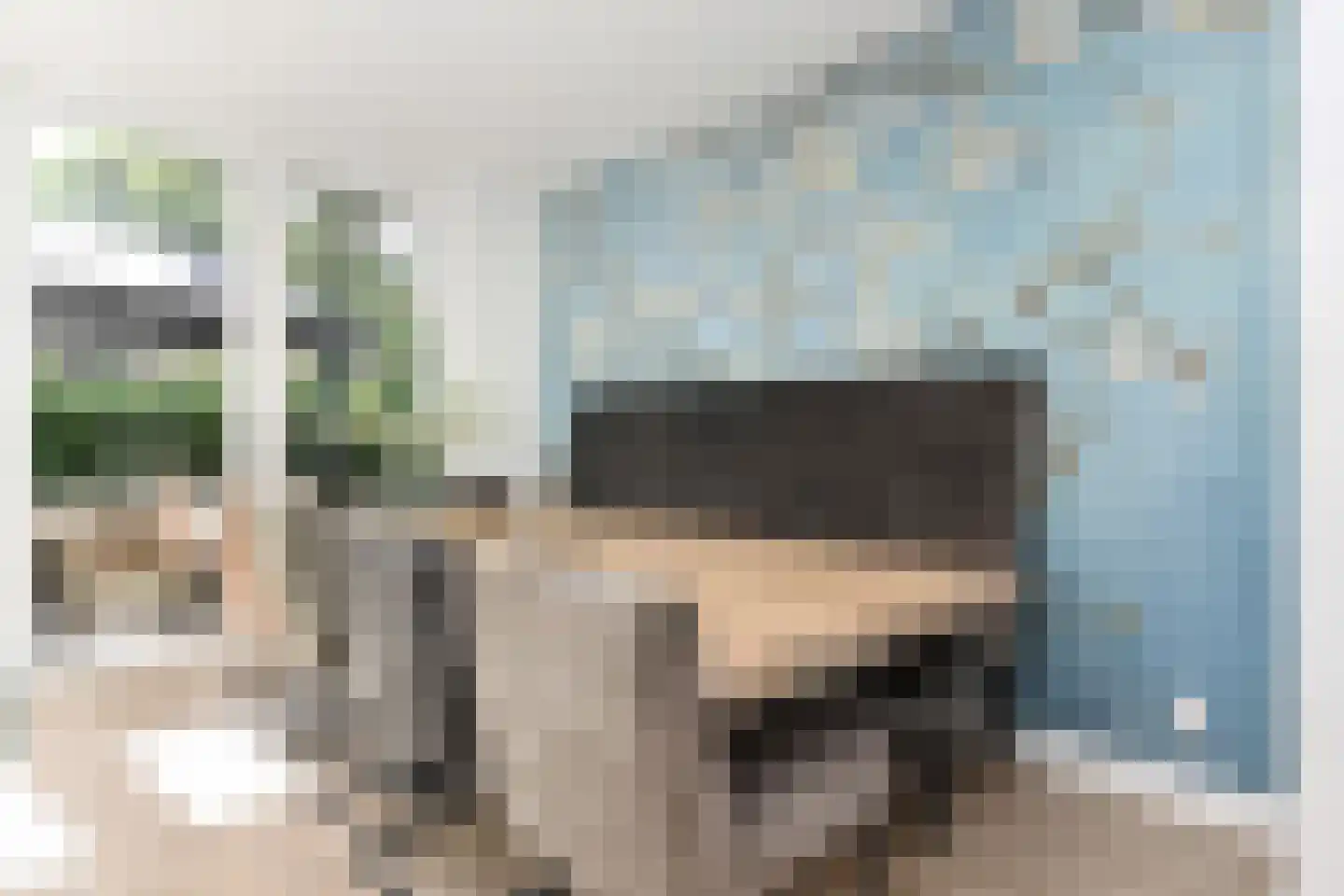 Tulpentuin 315 Voorburg thumbnail 19