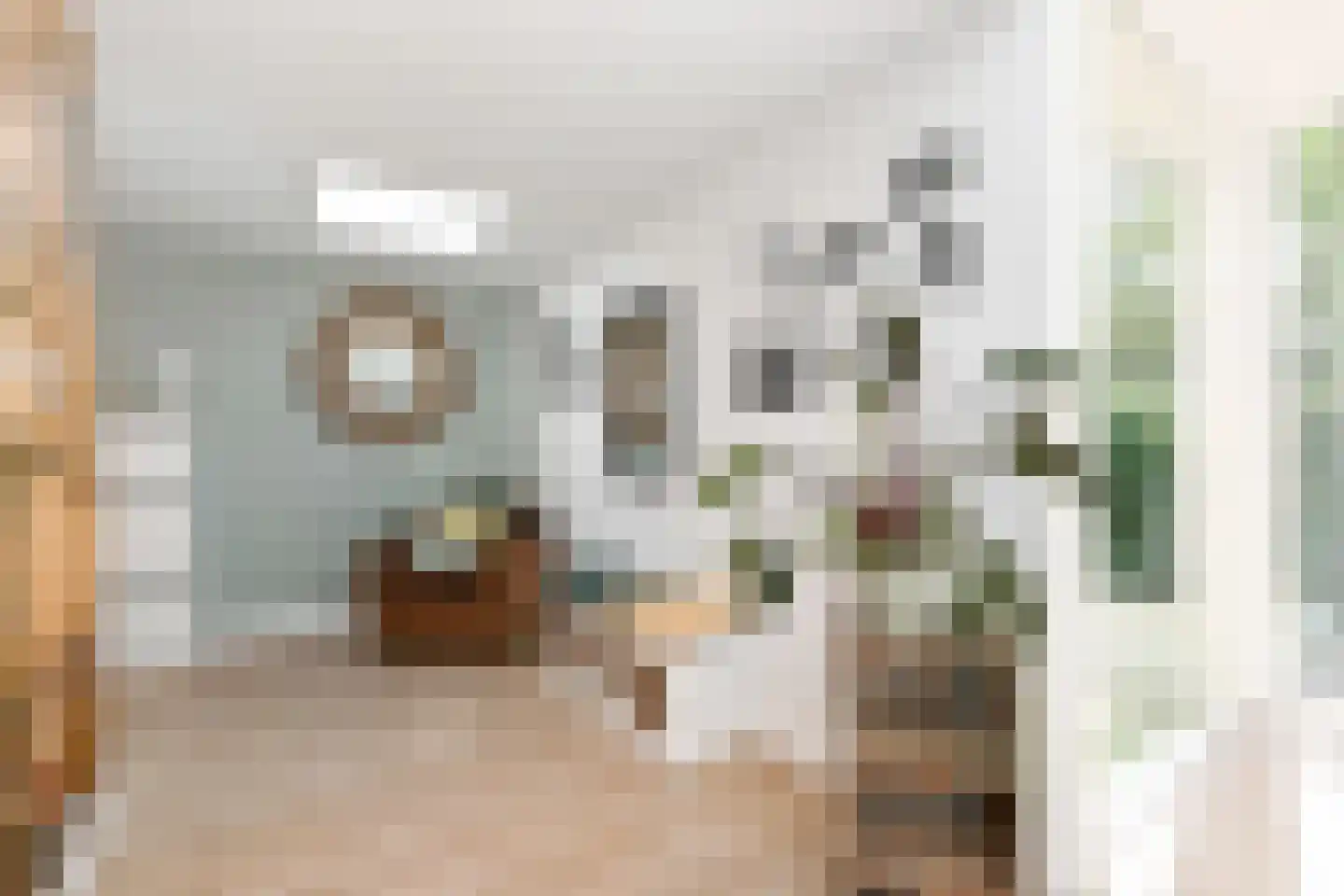 Tulpentuin 315 Voorburg thumbnail 22