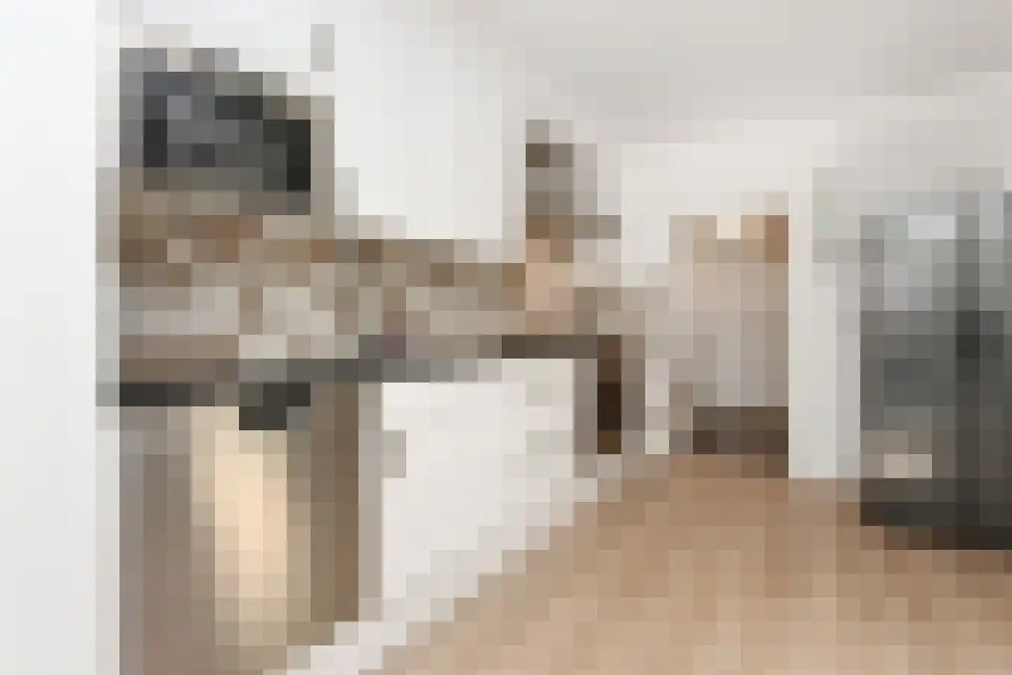 Tulpentuin 315 Voorburg thumbnail 24