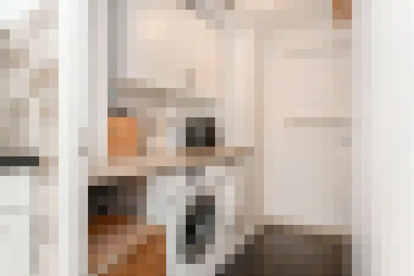 Tulpentuin 315 Voorburg thumbnail 25