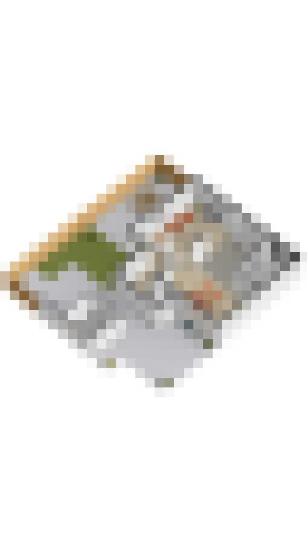 Tulpentuin 315 Voorburg thumbnail 28