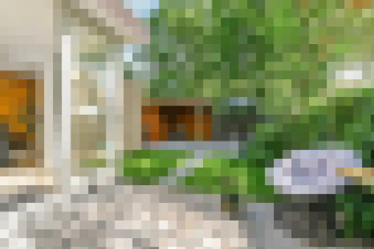 Tulpentuin 315 Voorburg thumbnail 29