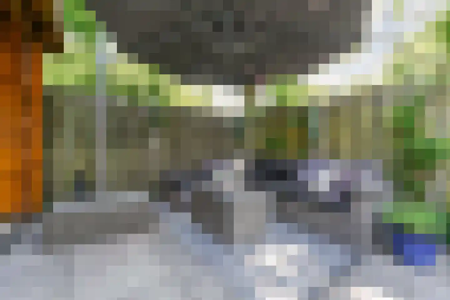 Tulpentuin 315 Voorburg thumbnail 31