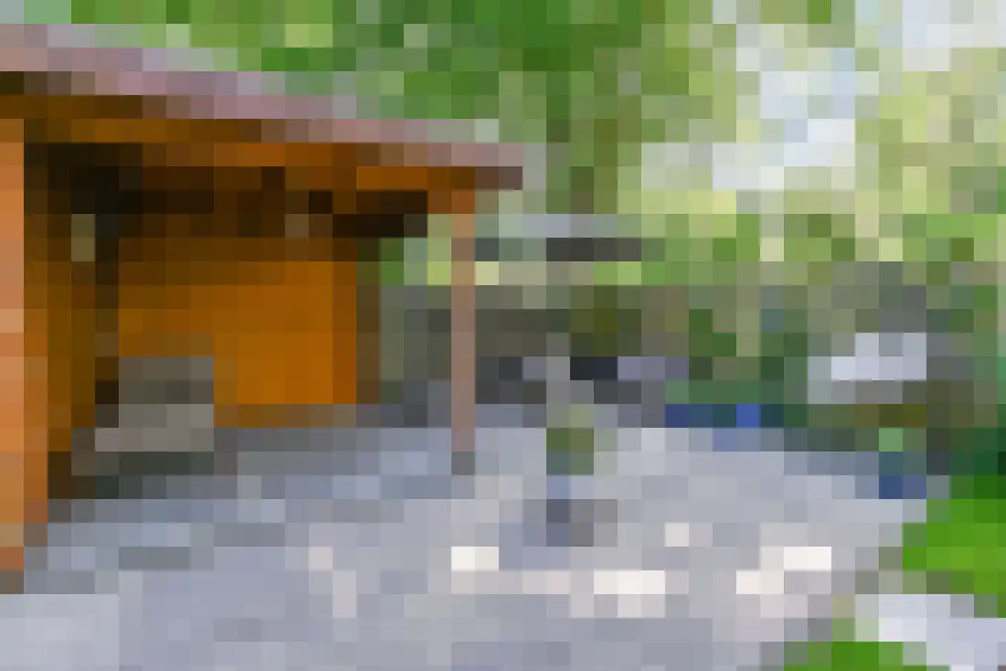 Tulpentuin 315 Voorburg thumbnail 35