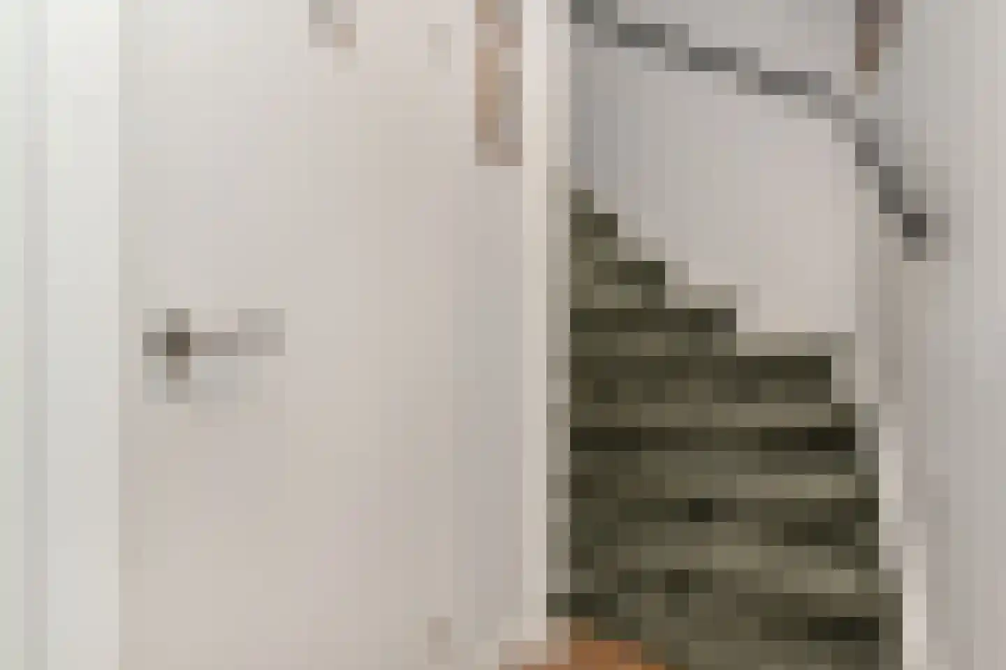 Tulpentuin 315 Voorburg thumbnail 36