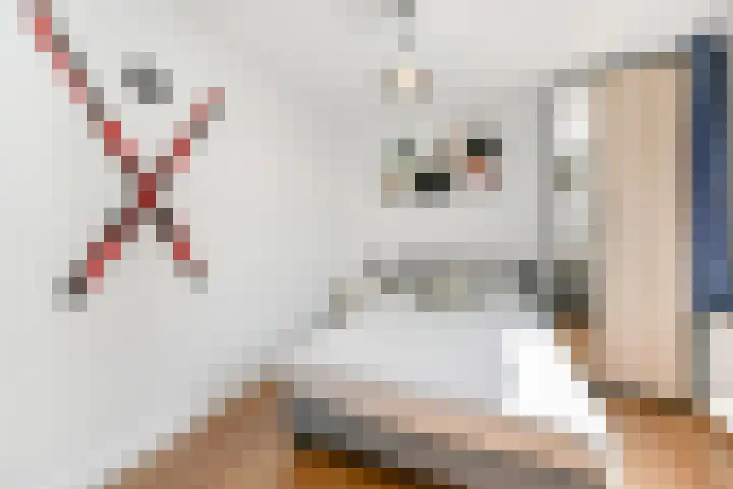Tulpentuin 315 Voorburg thumbnail 43