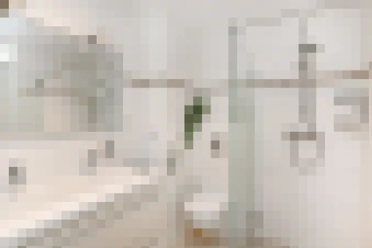 Tulpentuin 315 Voorburg thumbnail 48