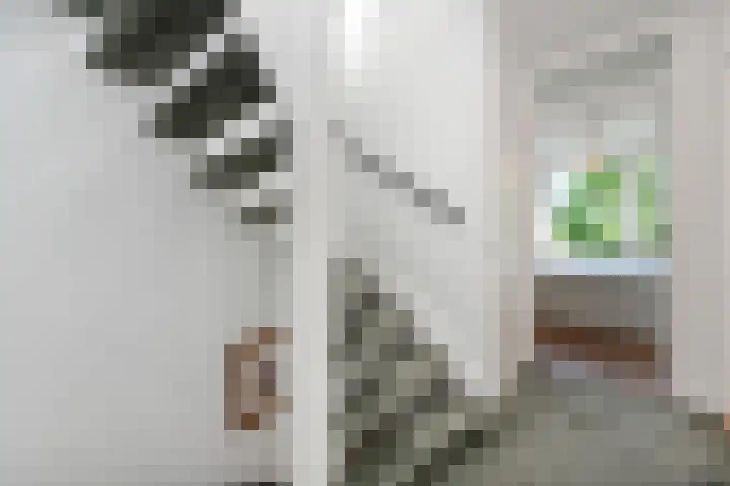 Tulpentuin 315 Voorburg thumbnail 49