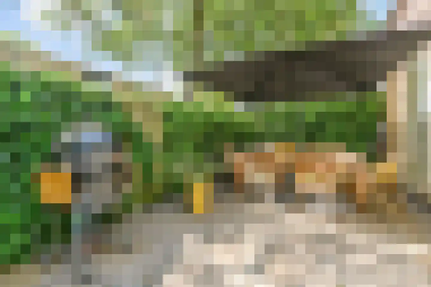 Tulpentuin 315 Voorburg thumbnail 5