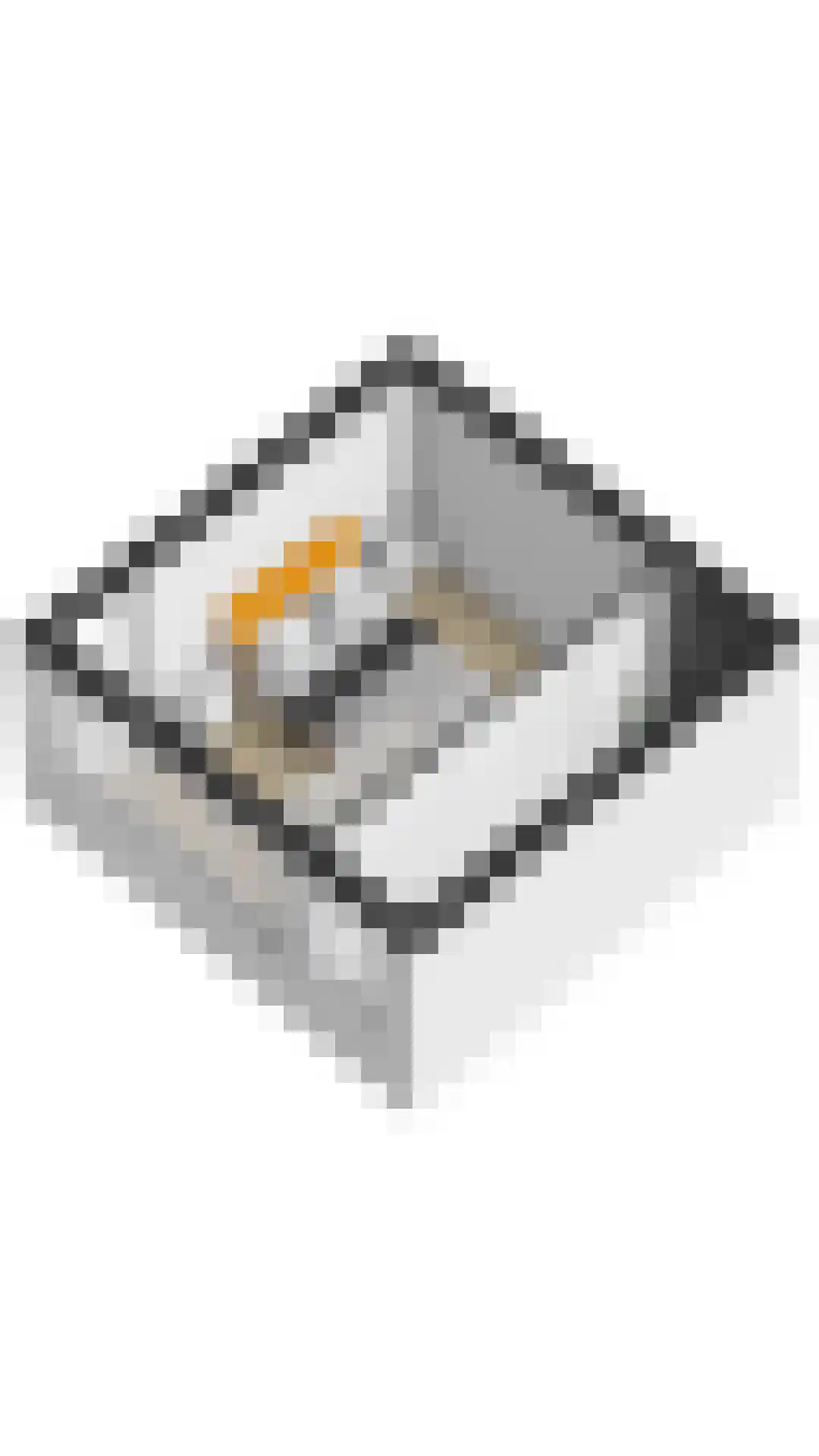 Tulpentuin 315 Voorburg thumbnail 51