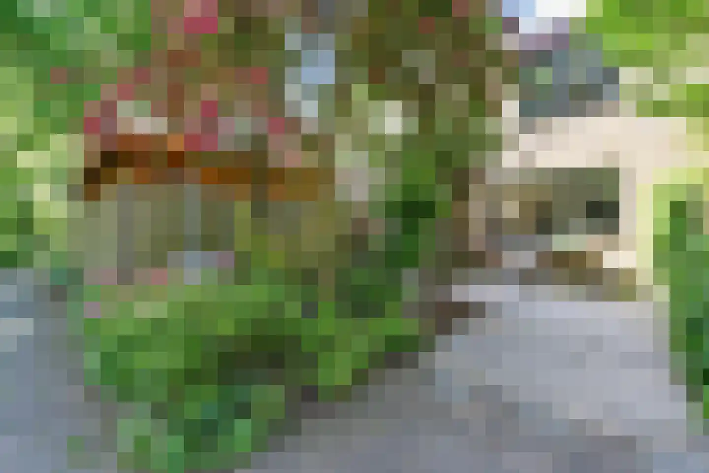 Tulpentuin 315 Voorburg thumbnail 6