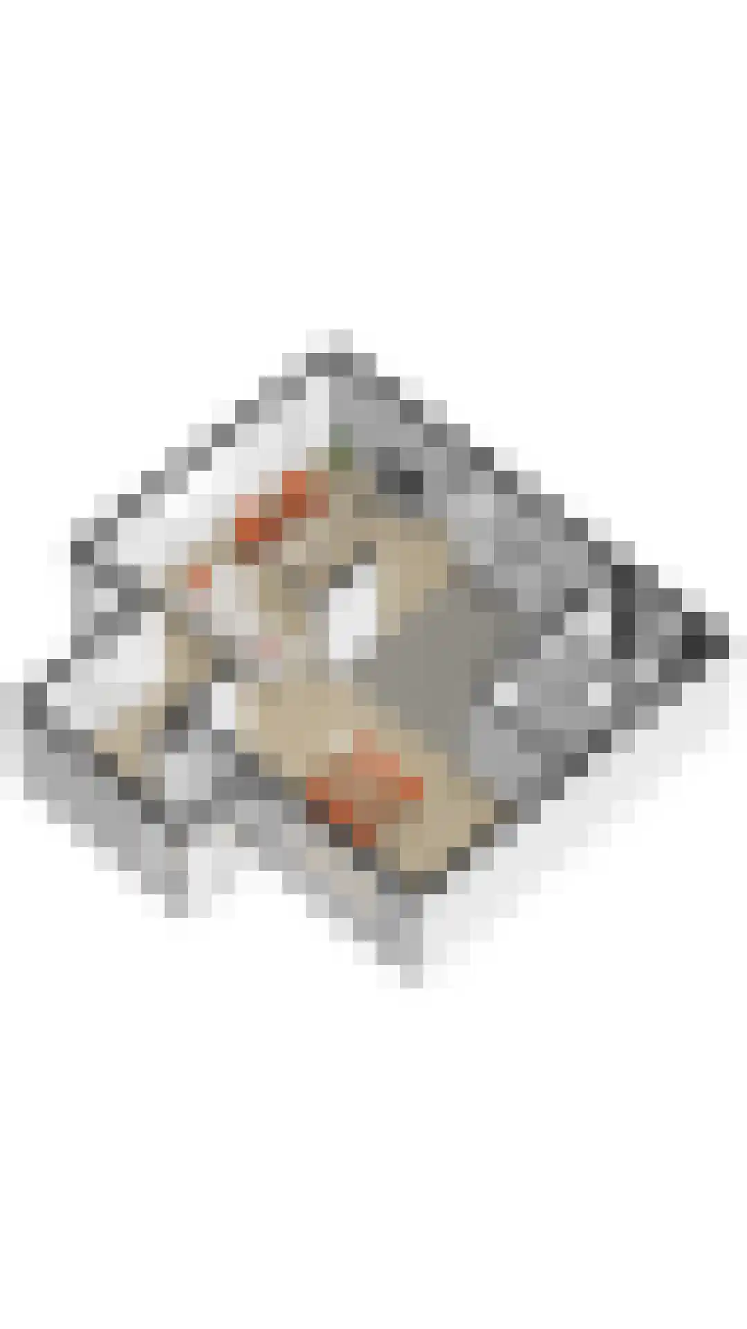 Tulpentuin 315 Voorburg thumbnail 9