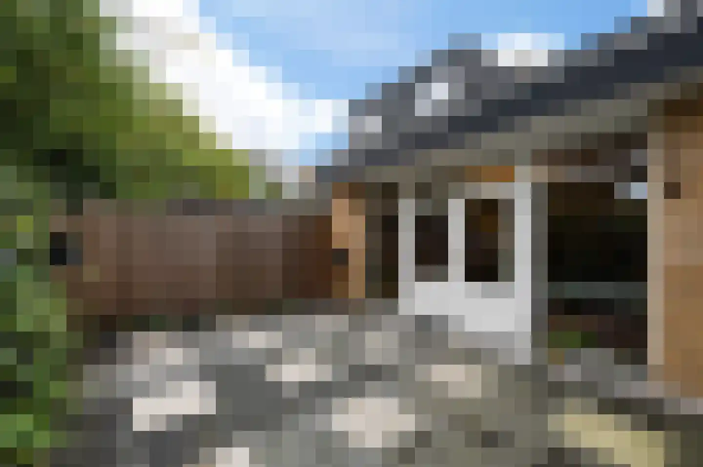 Tulpentuin 347 Voorburg thumbnail 13