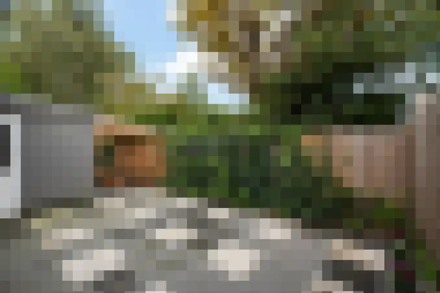 Tulpentuin 347 Voorburg thumbnail 14